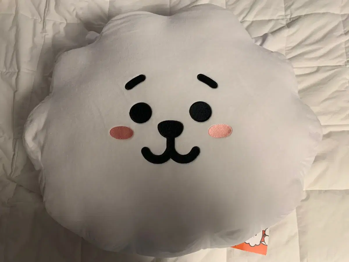 방탄 bt21 알제이 42cm 원가양도 합니다!